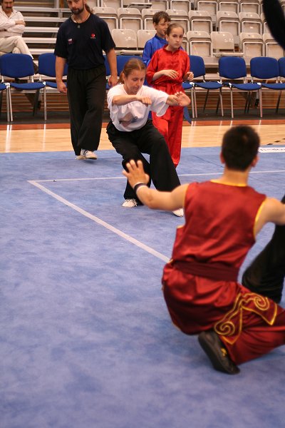Wushu championship Warsaw